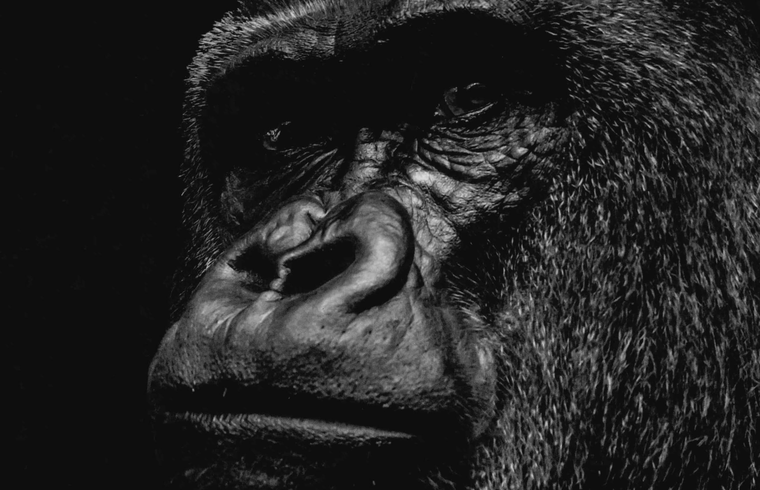 The human being is mutant