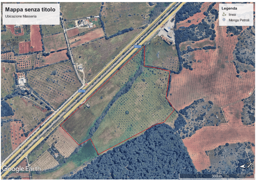 Immagine galleria 12